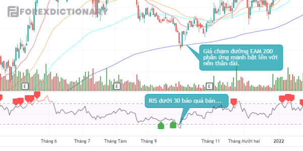 Kết hợp đường MA và chỉ báo RSI