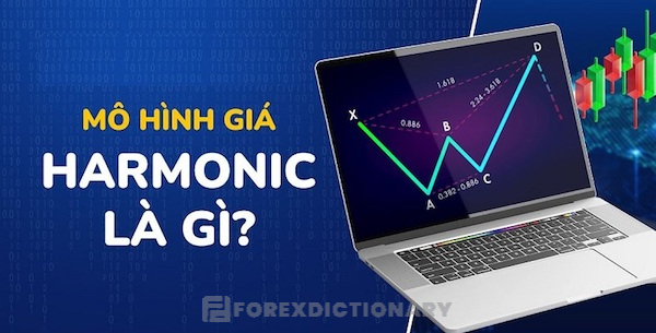 Mô hình giá Harmonic là gì?