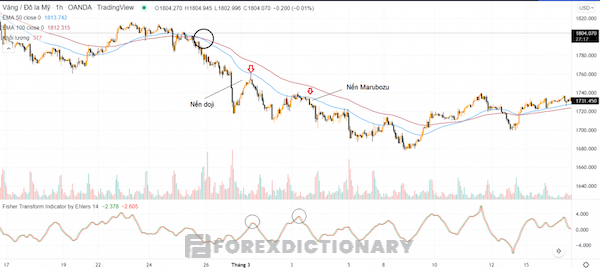 Chỉ báo Fisher Transform có thể được dùng trong giao dịch theo xu hướng