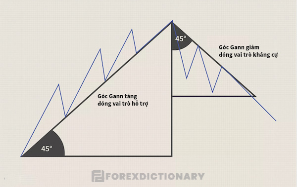 Góc Gann tăng đóng vai trò hỗ trợ & góc Gann giảm đại diện cho một sự kháng cự