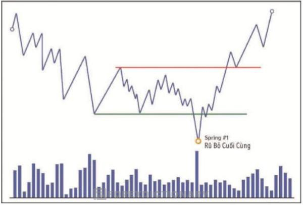 Điểm Springs cho thấy các trader cá nhân đang ra  sức cắt lỗ và đồng loạt bán tháo