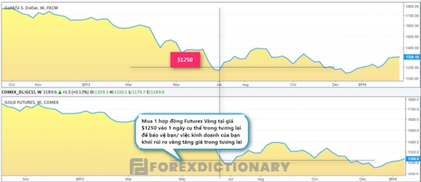 Chiến lược phòng ngừa rủi ro trên thị trường giao ngay thông qua Futures