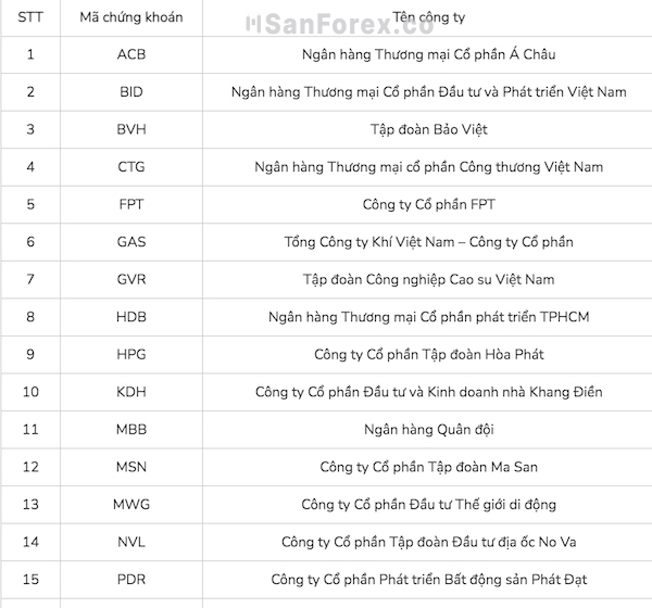 Top 30 công ty có vốn hóa lớn nhất thị trường hiện nay - Ảnh 1