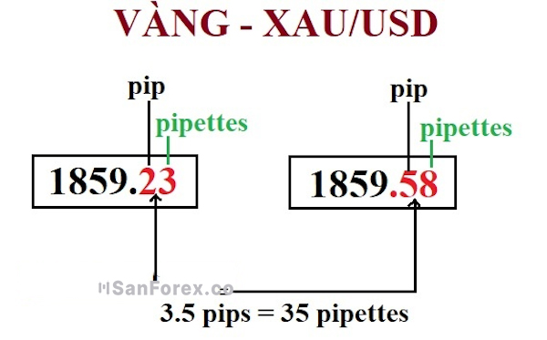 Hướng dẫn cách tính pips vàng trong giao dịch Forex