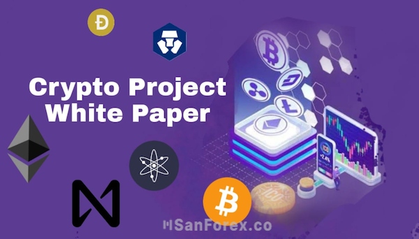 Một Whitepaper của riêng bạn sẽ thu hút hơn so với các bản đại trà, có sẵn