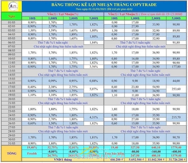 Bảng lợi nhuận của Busstrade