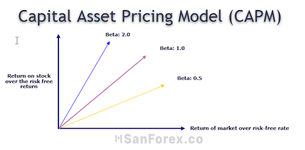 Hệ số Beta thể hiện chi tiết biến động cổ phiếu
