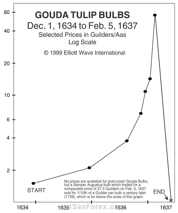 Sự kiện Tulip Mania bùng nổ trên thị trường giao dịch