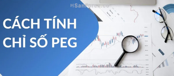 Xác định PEG thông qua G và P/E của doanh nghiệp