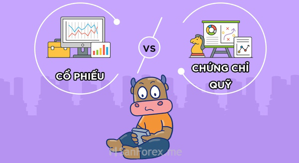 Điểm giống và khác nhau giữa cổ phiếu và chứng chỉ quỹ