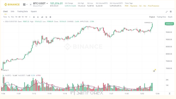 Đồ thị biến động giá của đồng tiền mã hóa Bitcoin vào năm 2024