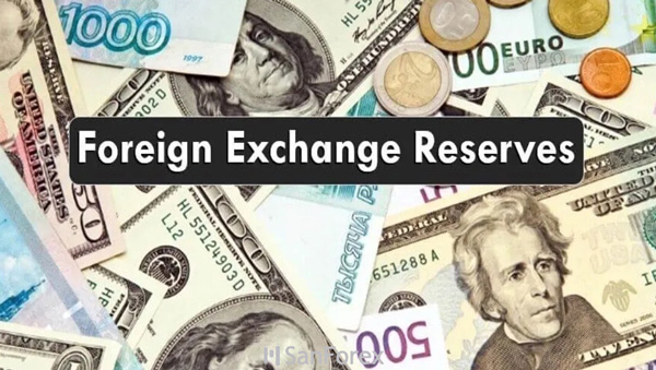Dự trữ ngoại hối là gì? Vai trò và cách hoạt động trader cần biết