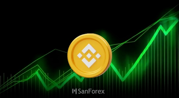 Binance Coin minh chứng rõ nét cho hiệu quả của chiến lược đầu tư dài hạn