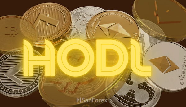 Tùy vào vốn và cách đánh giá thị trường thì trader sẽ thực hiện HODL khác nhau