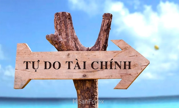 Khi tự do tài chính bạn có thể theo đuổi đam mê và những điều mà bản thân bỏ lỡ